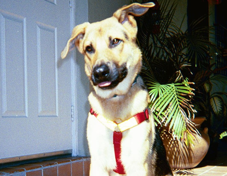 Phenix 1500, Number&nbsp;One