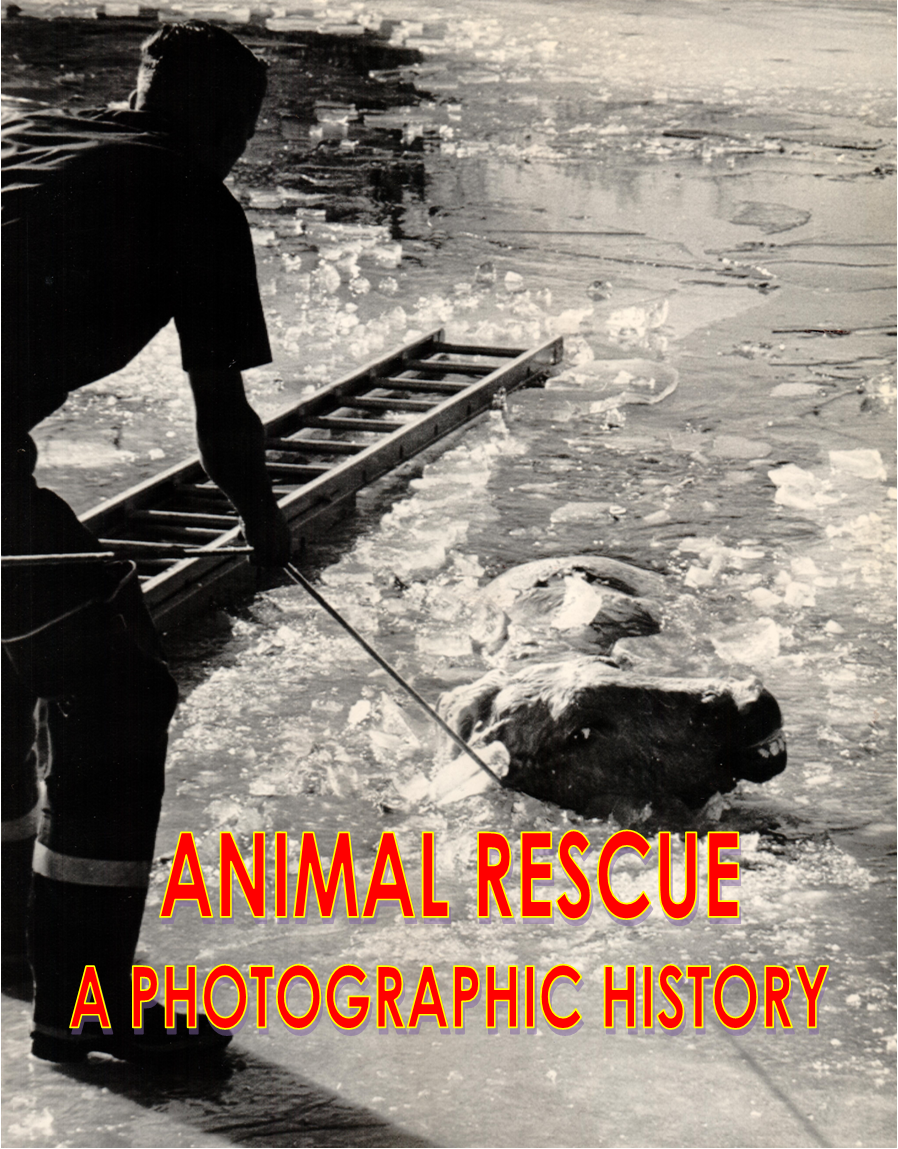 Animal Rescue- A Photographic History Vol. 1 No. 9 – Humane Emergency ...