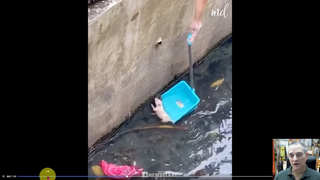 Animal Rescue Postmortem Vol. 3 No. 9 Puppy drowning in&nbsp;canal