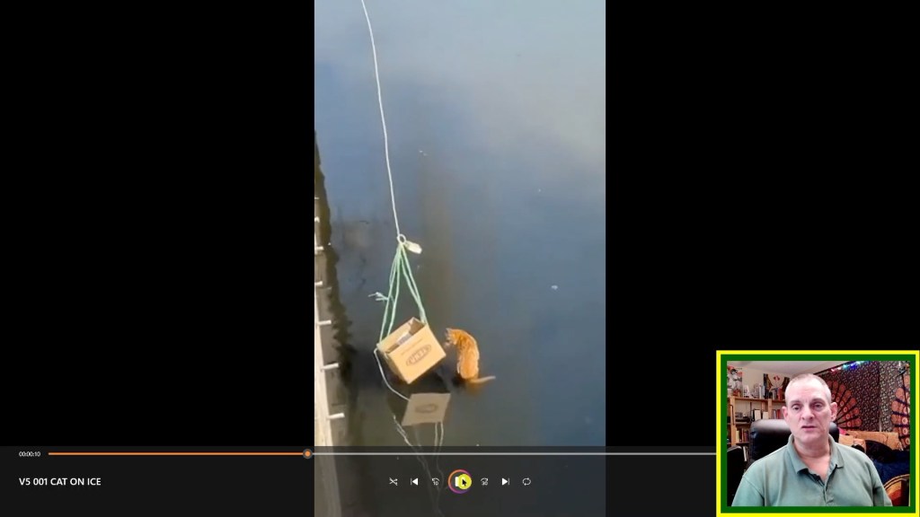 Animal Rescue Postmortem Vol. 5 No. 1 Cat rescued from a&nbsp;canal