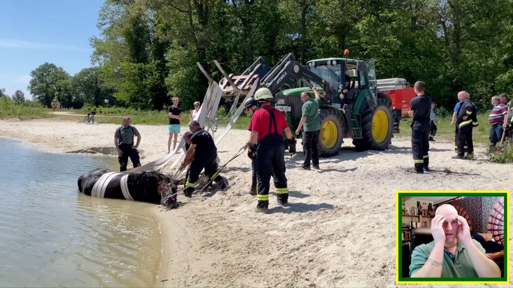 Animal Rescue Postmortem Vol. 7 No. 18 Horse Rescued From Beach&nbsp;Sand